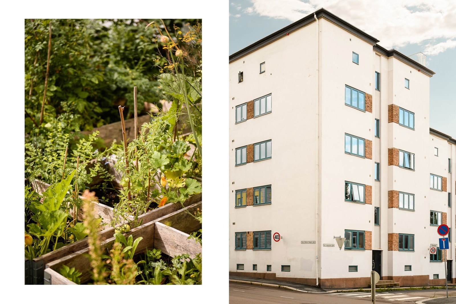 Felles urtehage og grøntarealer i bakgården inviterer til dyrking og rekreasjon. Galleribilde