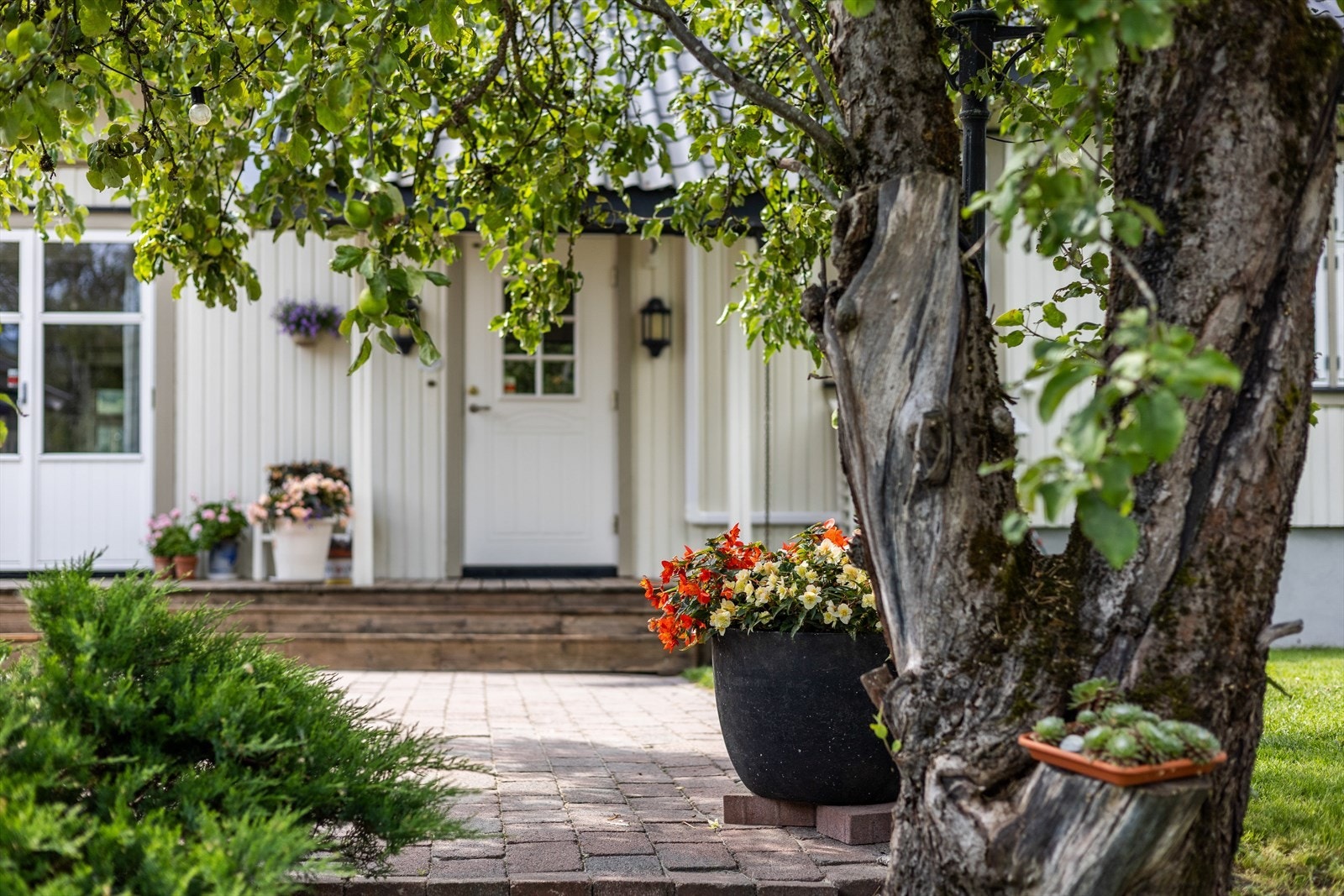 Dette er en eiendom som bør sees og oppleves Galleribilde