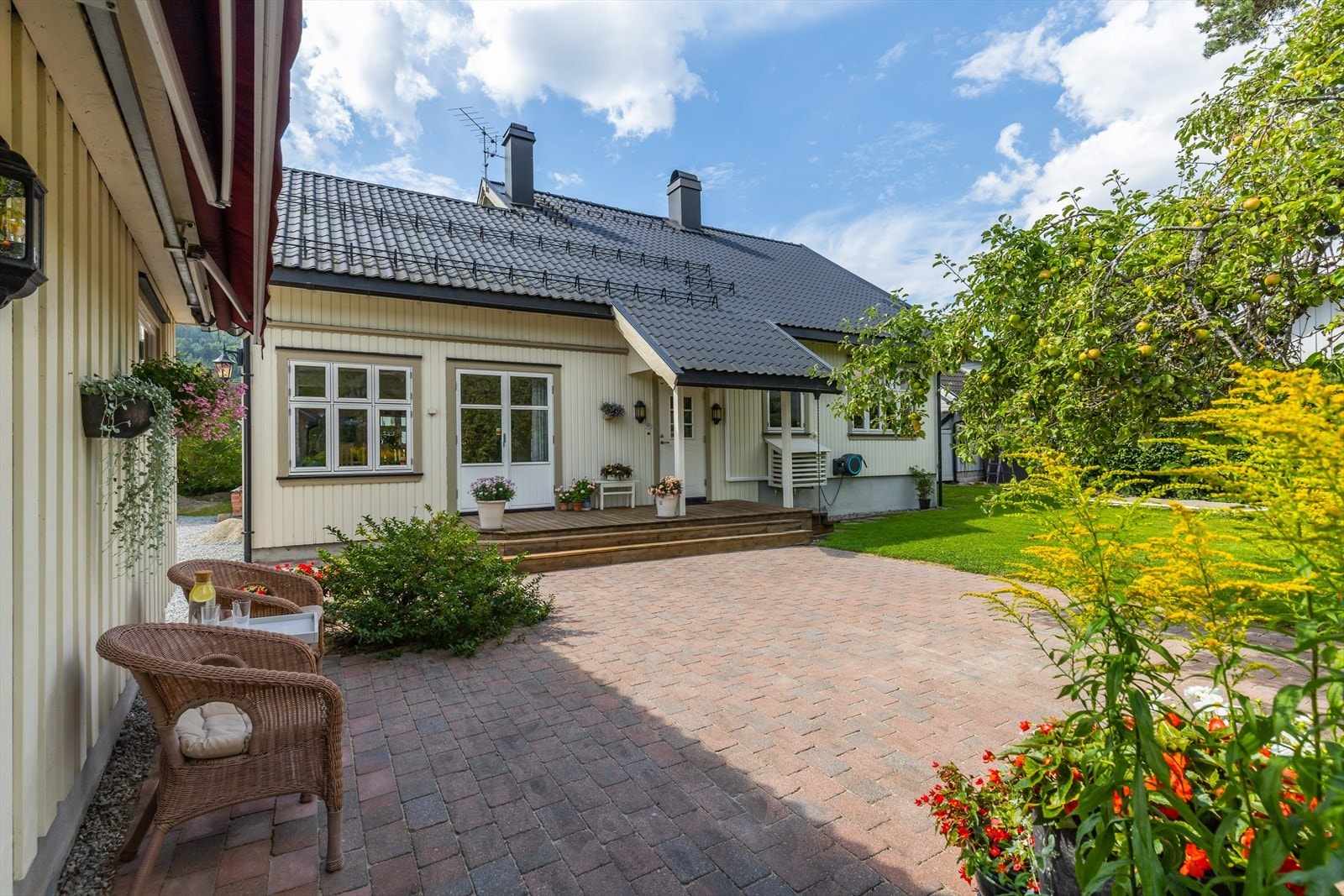 Meget flott, hellebelagt område ved inngangssiden Galleribilde