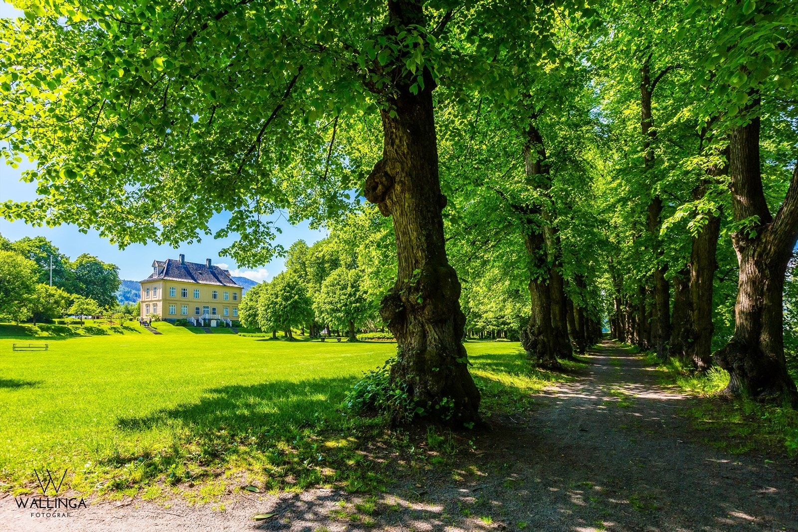 Gulskogen gård ligger noen få minutters kjøretur unna Galleribilde