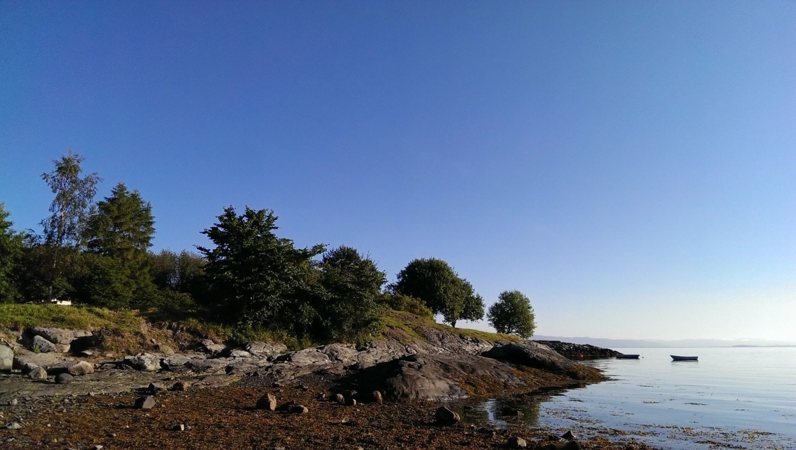 Omgivelser, utsikt og grønnstruktur. Galleribilde