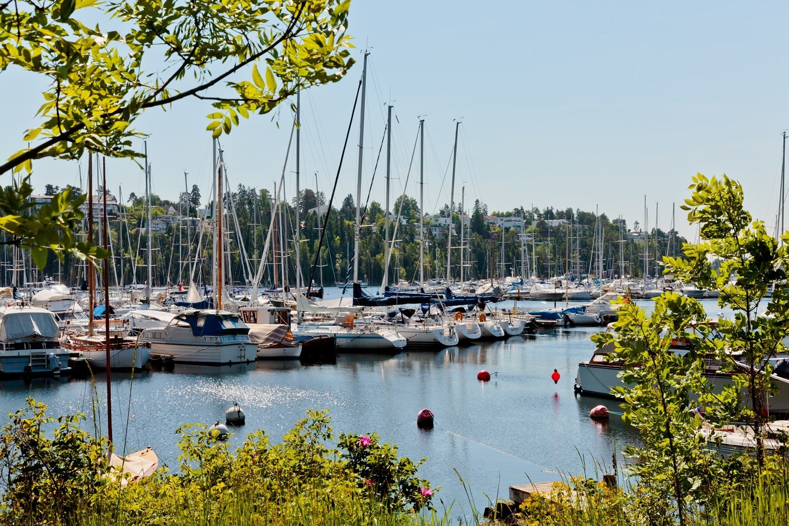 Om du ikke eier båt selv, er nærheten til vannet og båtmiljøet en opplevelse i seg selv. Galleribilde