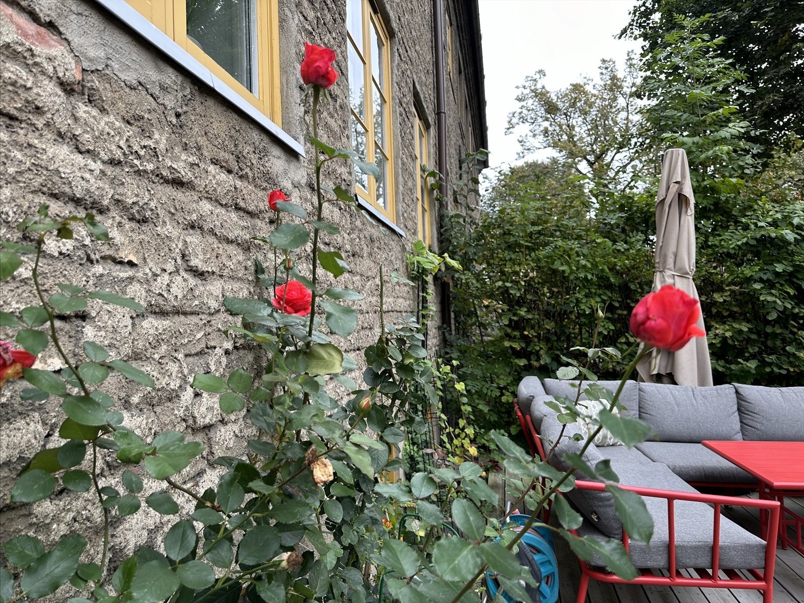Det er lagt stor omsorg i uteområdet, og flere av bildene som følger boligen er tatt av selger for å vise hvor rikt og levende det blomstrer gjennom sesongene. Galleribilde