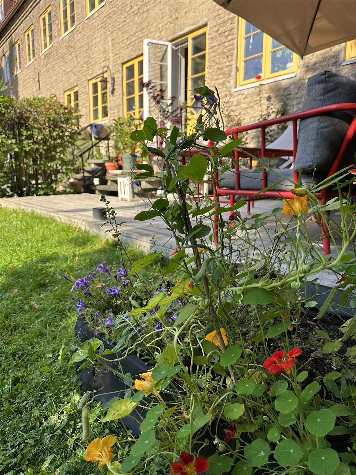Her kan man virkelig glede seg til vår og sommer! Galleribilde