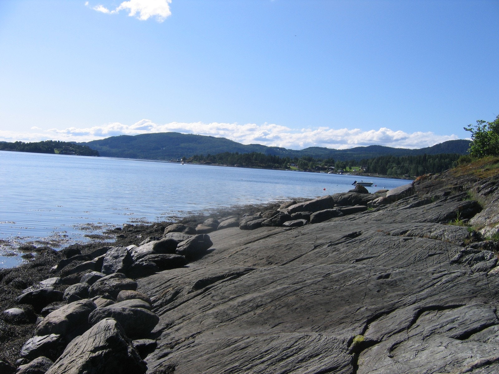 Lofjorden byr også på matservering i "Sjøbua" som ligger bare noen hundre meter fra hyttetomta. Her serveres både kaffe, boller og middag. Der man også leie rom for overnatting. Galleribilde
