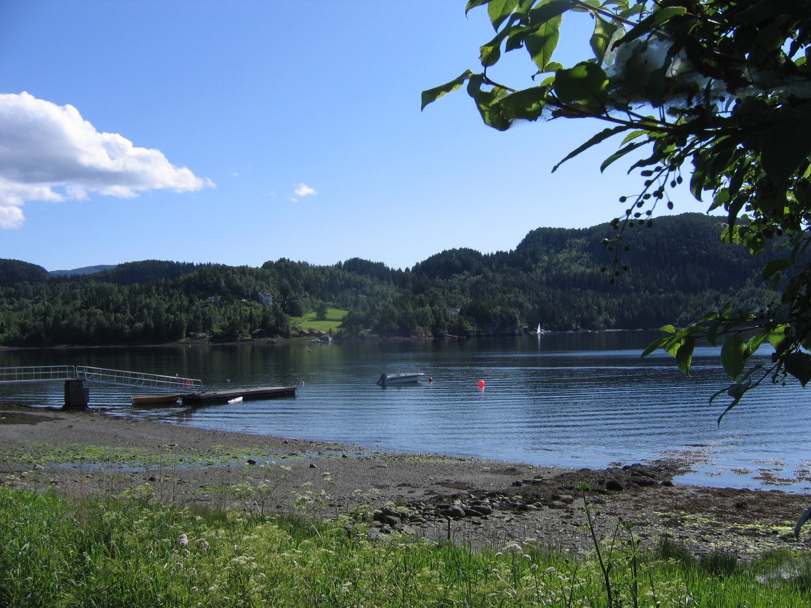 Dette er en fantastisk fritidsplass og en av de mest populære delene av Åsenfjord, på grunn av sine skjermede og rolige omgivelser. Galleribilde