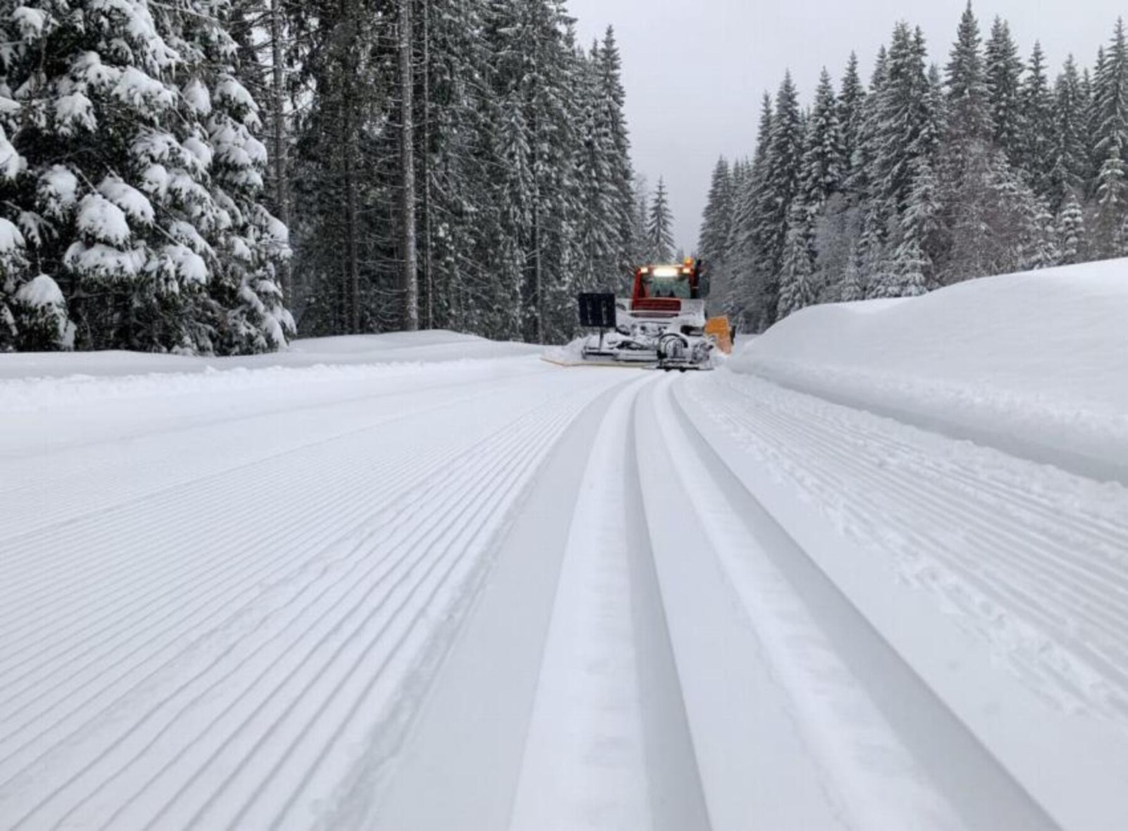 Fra Eineåsen skianlegg er det et godt utgangspunkt for milevis med skiløyper vinterstid og løpe-/ tur muligheter sommerstid Galleribilde