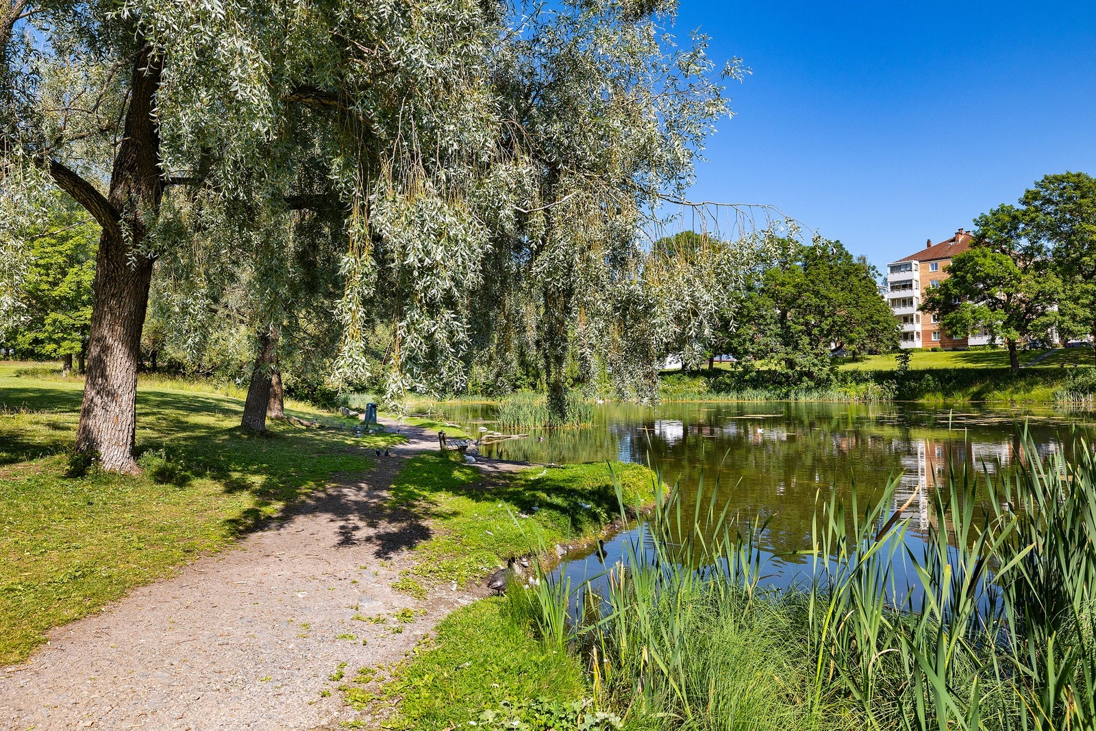 Parkmessige grøntområder like i nærheten Galleribilde