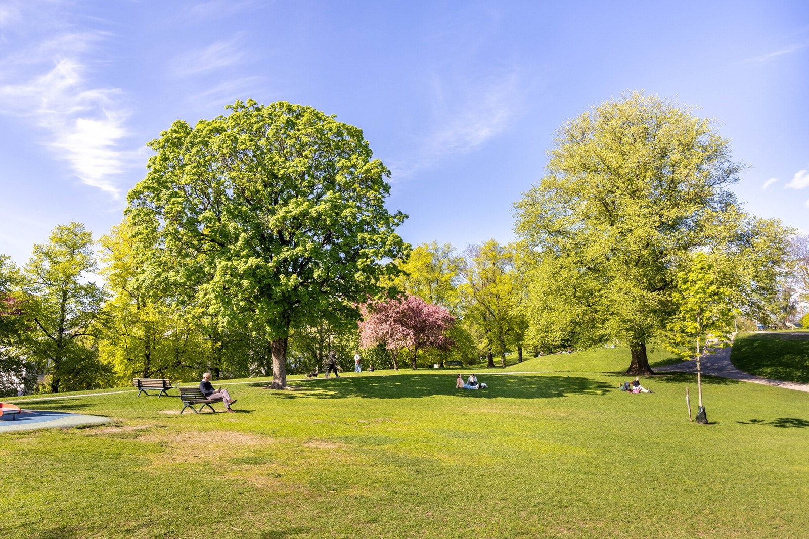 Stensparken. Galleribilde
