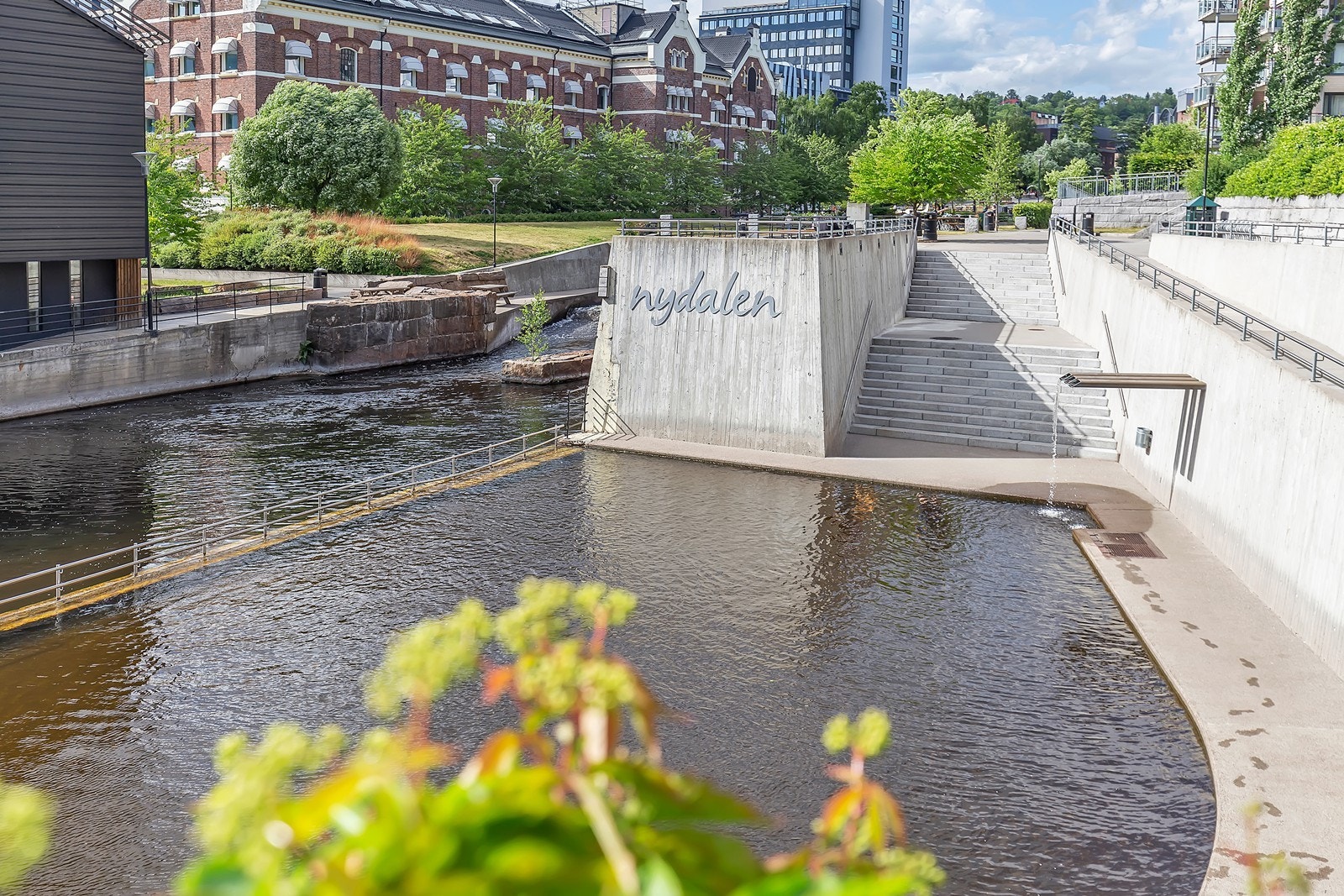 Akerselva og Nydalsdammen inviterer til bading, turer og rekreasjon langs grønne elvebredder. Galleribilde