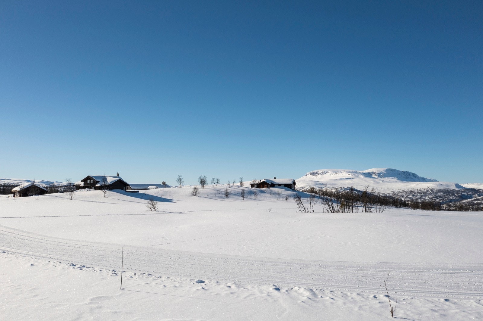 ...og du finner Torsrunden bare få meter fra eiendommen Galleribilde