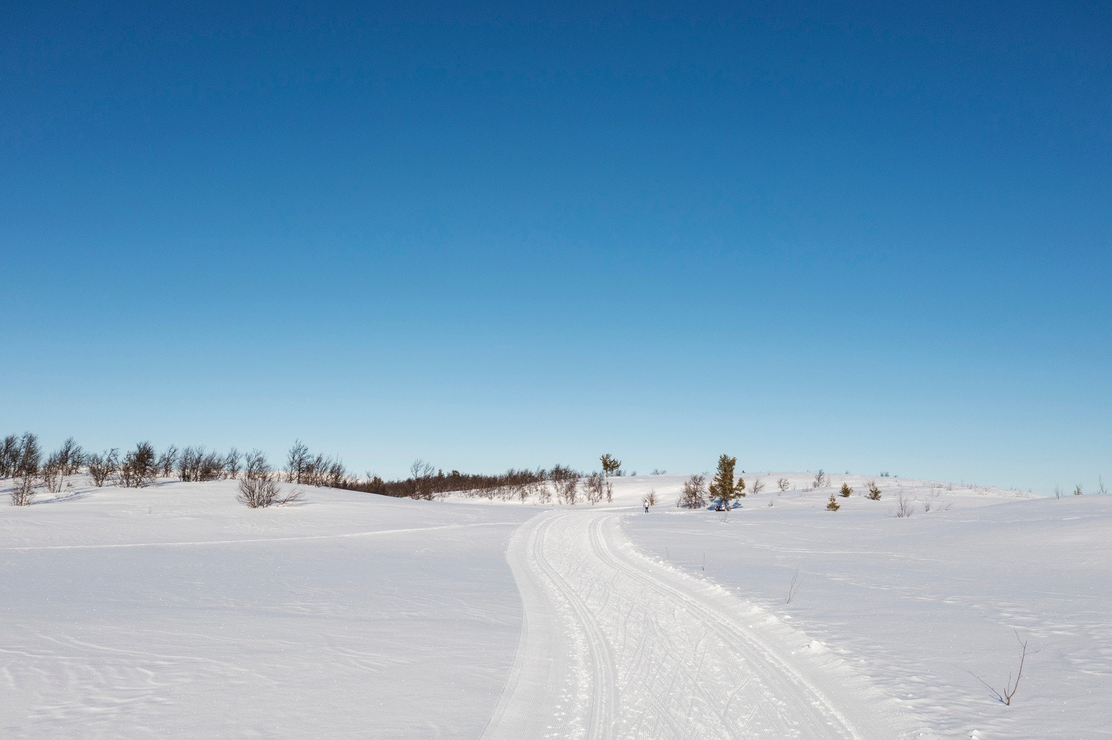 I Torsrunden finner du nypreparerte spor, vidstrakt utsikt og en sjelden ro Galleribilde