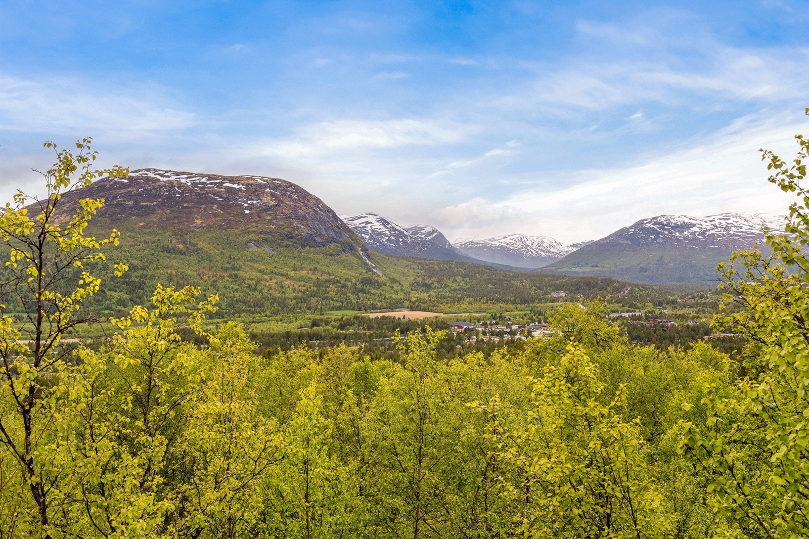 Utsikt fra terrasse Galleribilde
