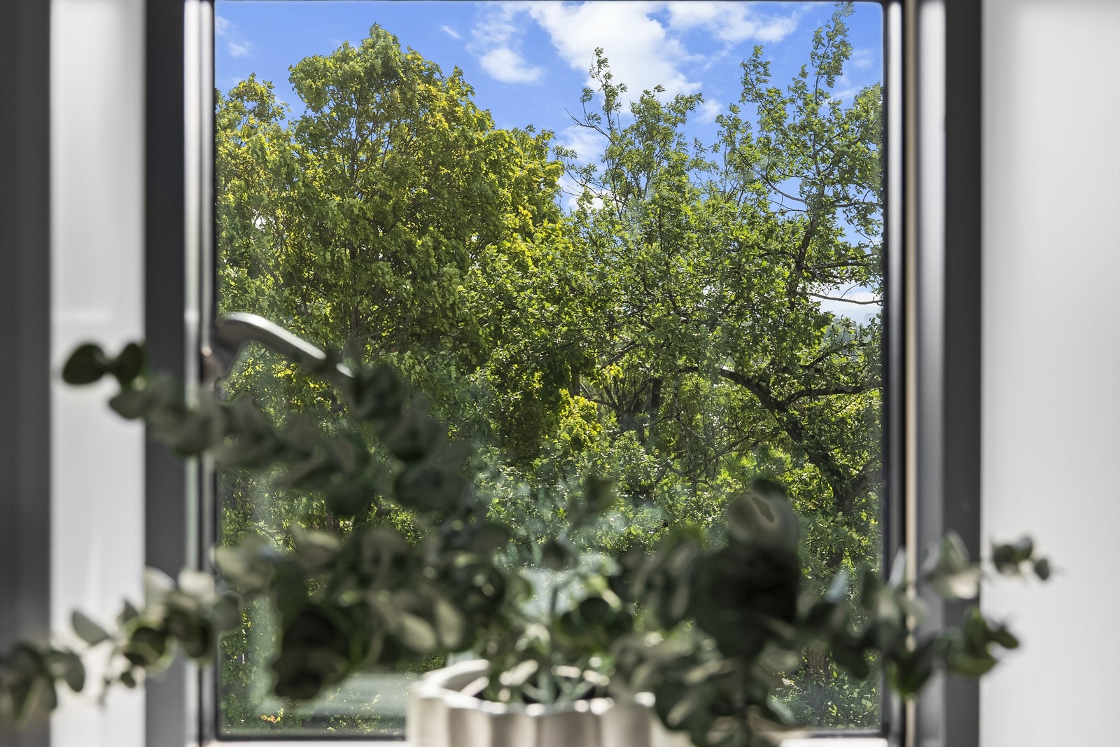 Skjermet utsyn og innsyn fra vindu på baderom Galleribilde