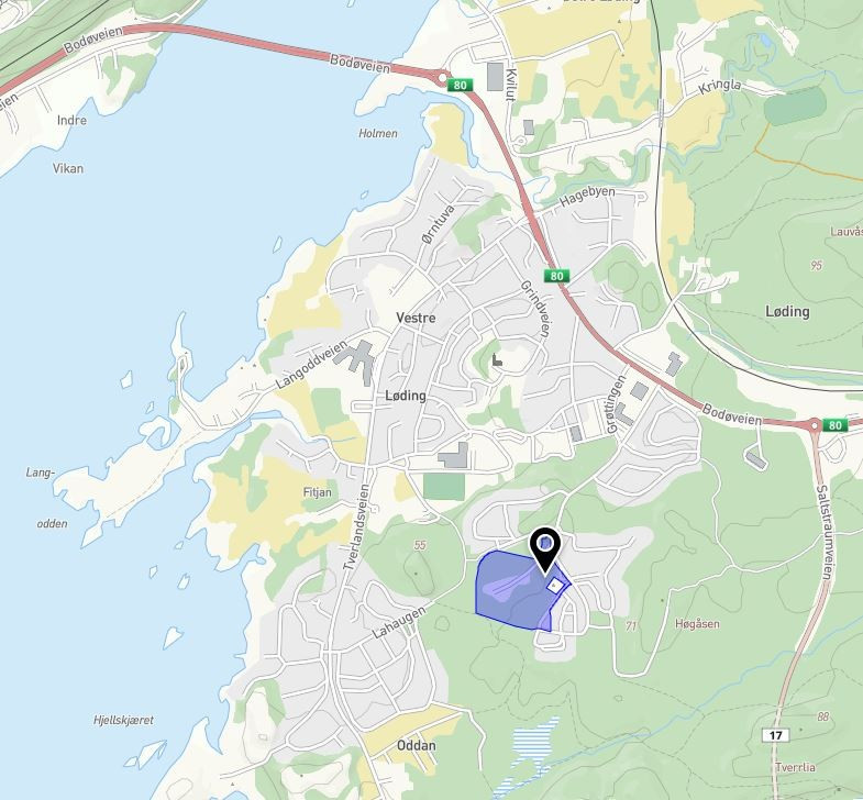 Kart over tomten