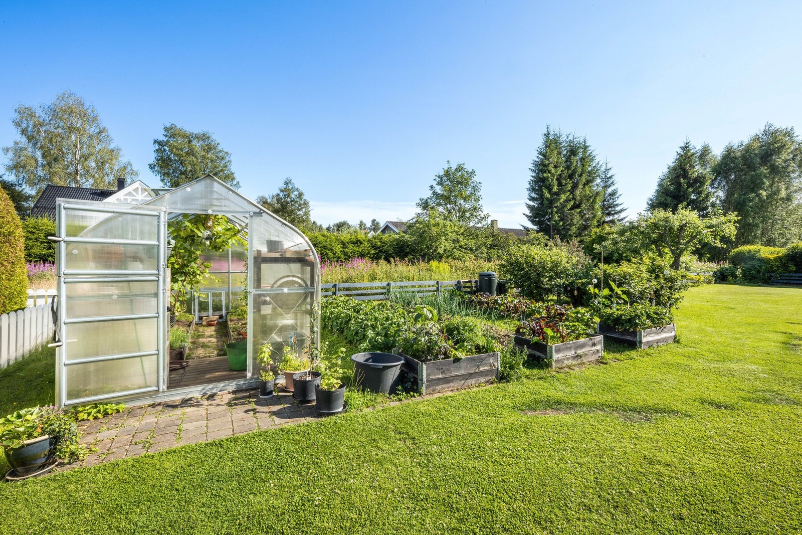 Grønne fingre? Hagen har oppsatt drivhus på 15 kvm med plass til mye grønnsaker og urter. Galleribilde
