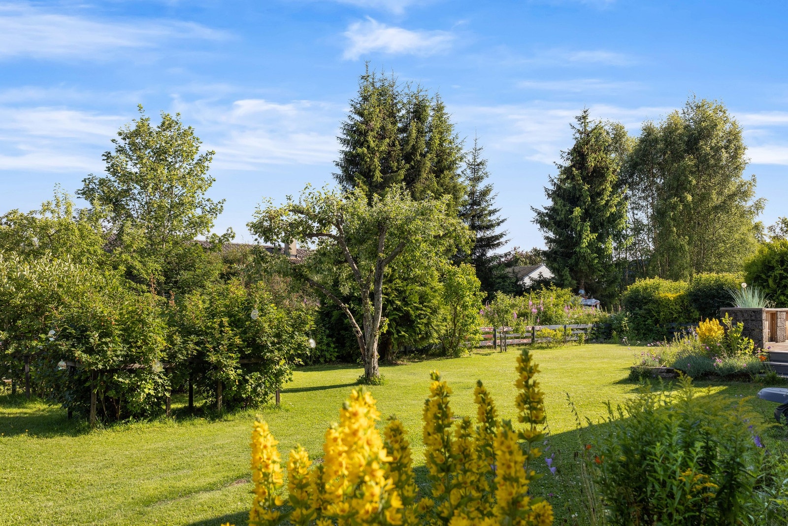 Eiendommen har nydelige uteområder. Galleribilde