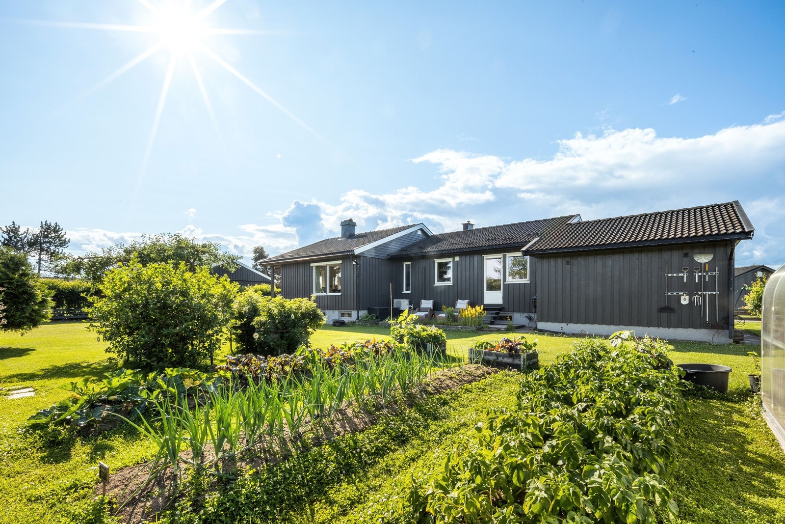 Kjøkkenhagen har virkelig stort potensiale! Galleribilde