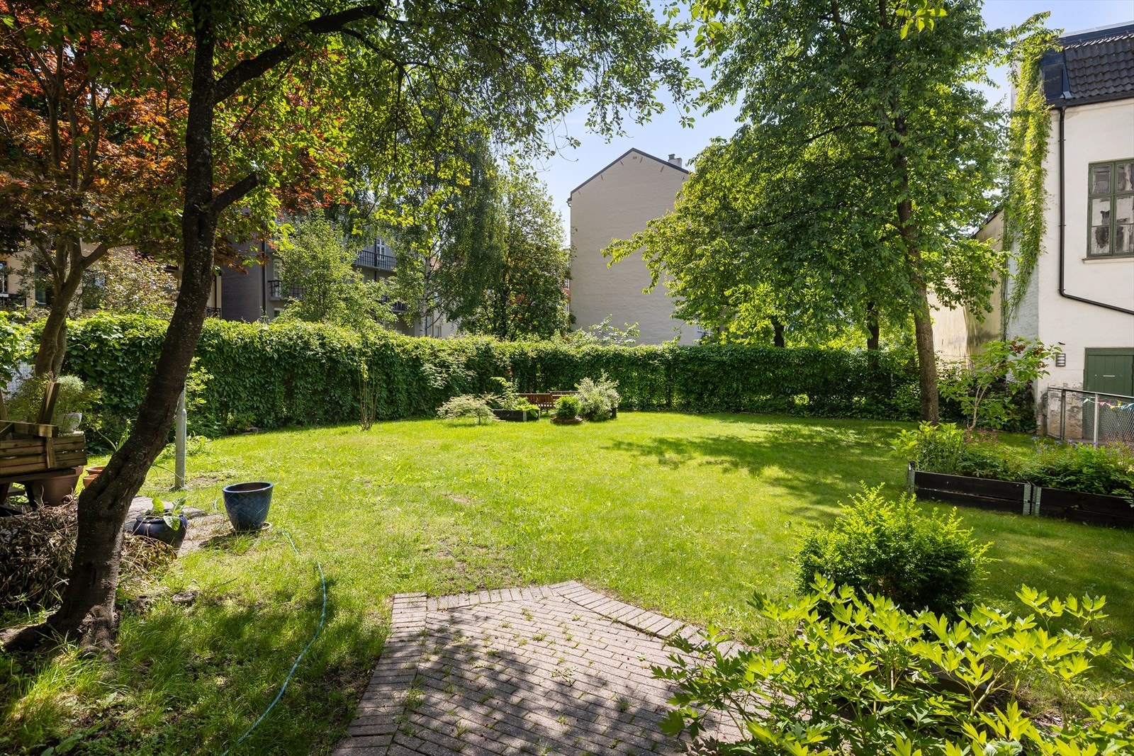 Den frodige bakgården er pent opparbeidet med plen, beplantning og hekk. Galleribilde