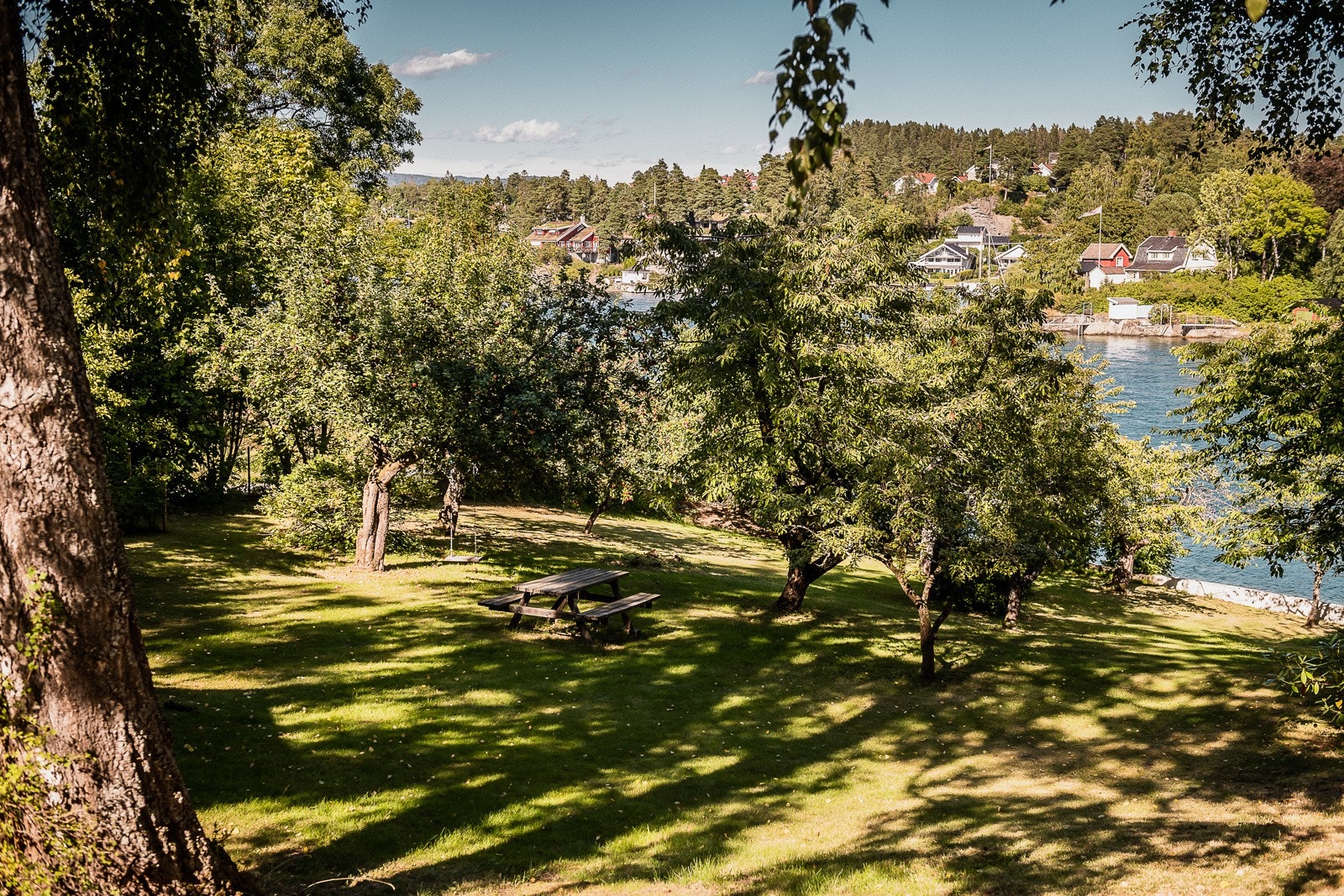 Flott naturtomt med frukttrær ned mot vannet. Galleribilde