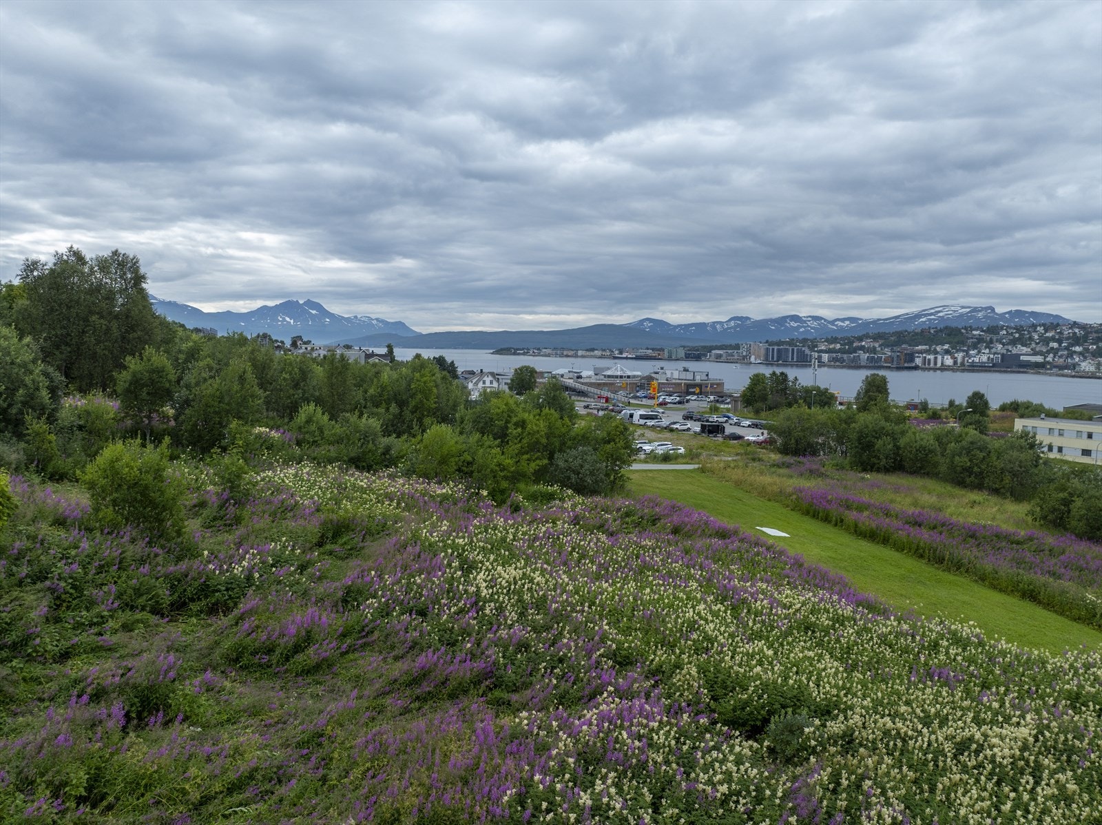 Flott utsikt også mot sør Galleribilde