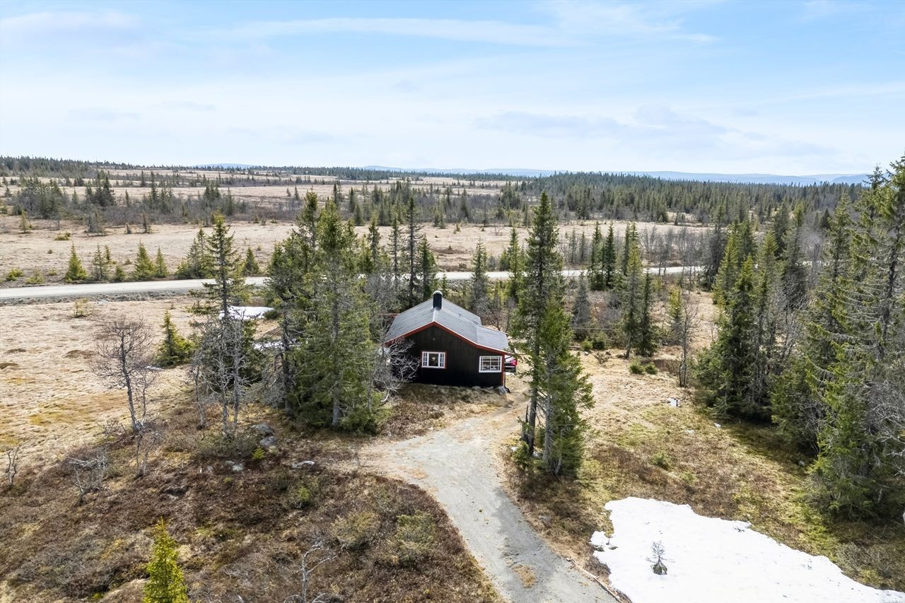 En sjarmerende hytte med en idyllisk beliggenhet Galleribilde