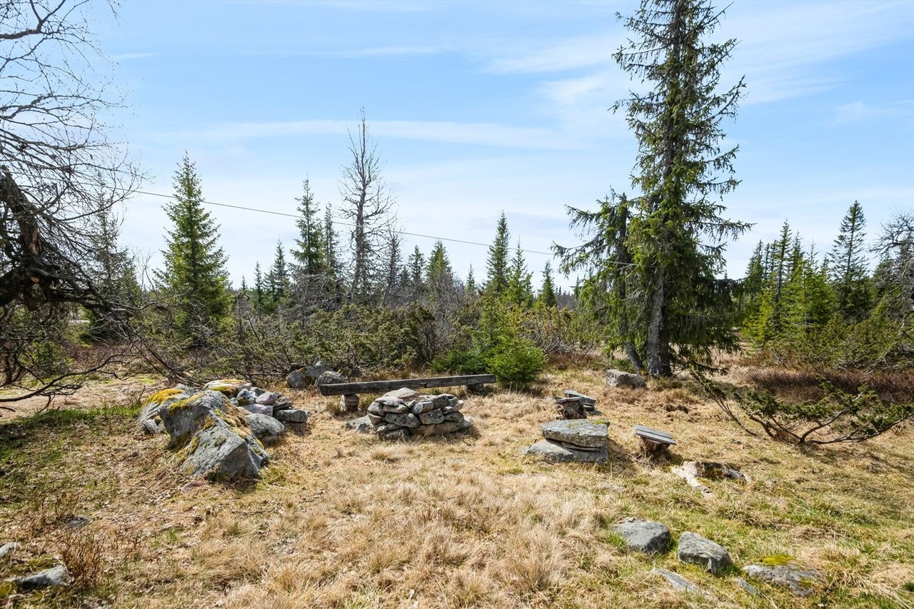Ljøsheim er et eldorado for deg som er glad i friluftsliv, uansett årstid Galleribilde