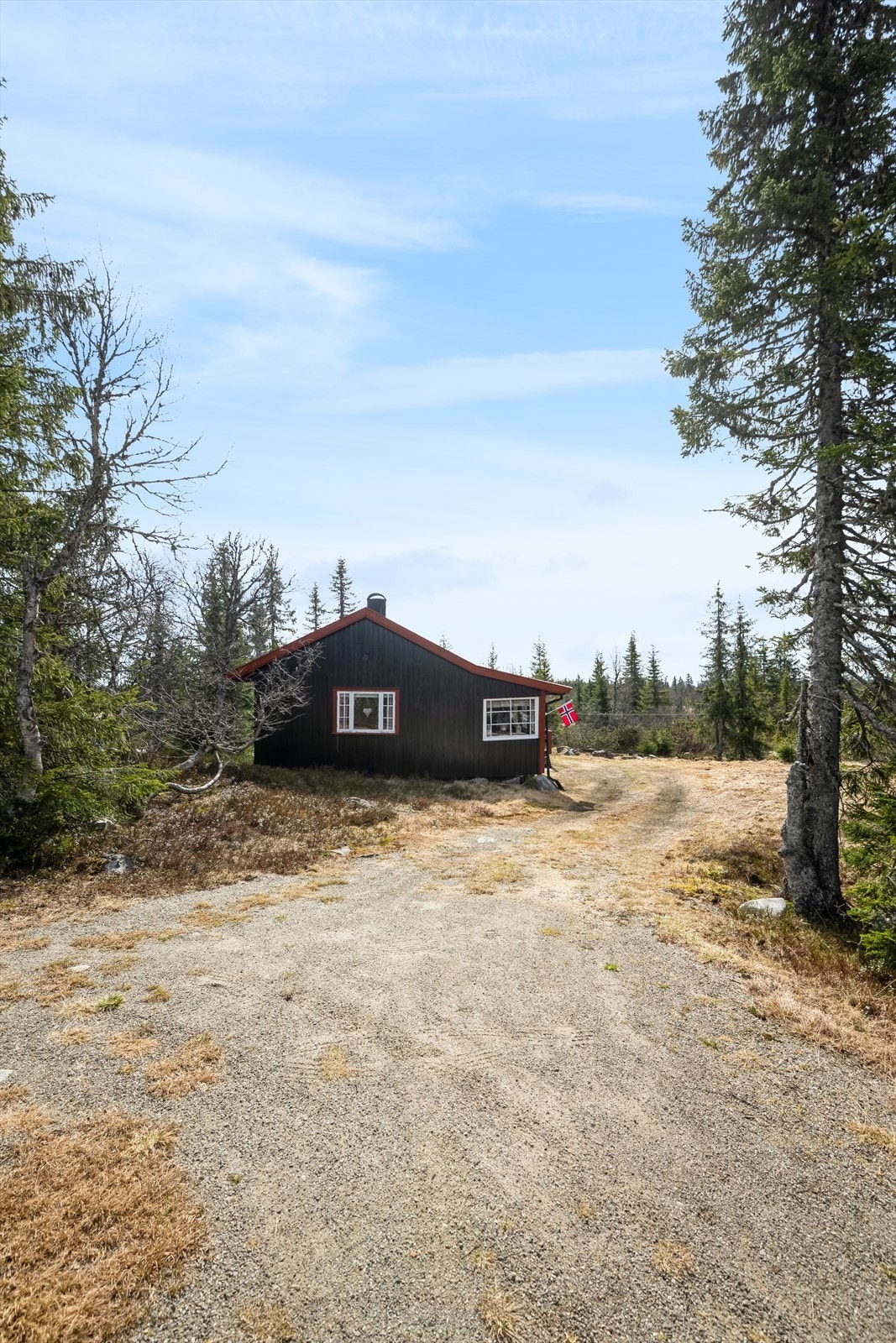 Velkommen til visning! Galleribilde