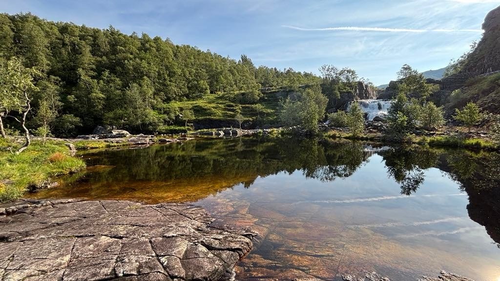 Foto selger. Badeplass ca. 10 min gange fra hytta. Galleribilde