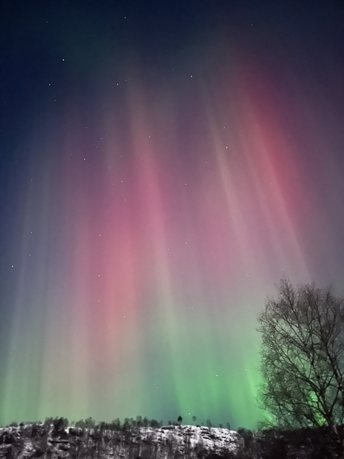 Stemningsbilde/foto selger Galleribilde