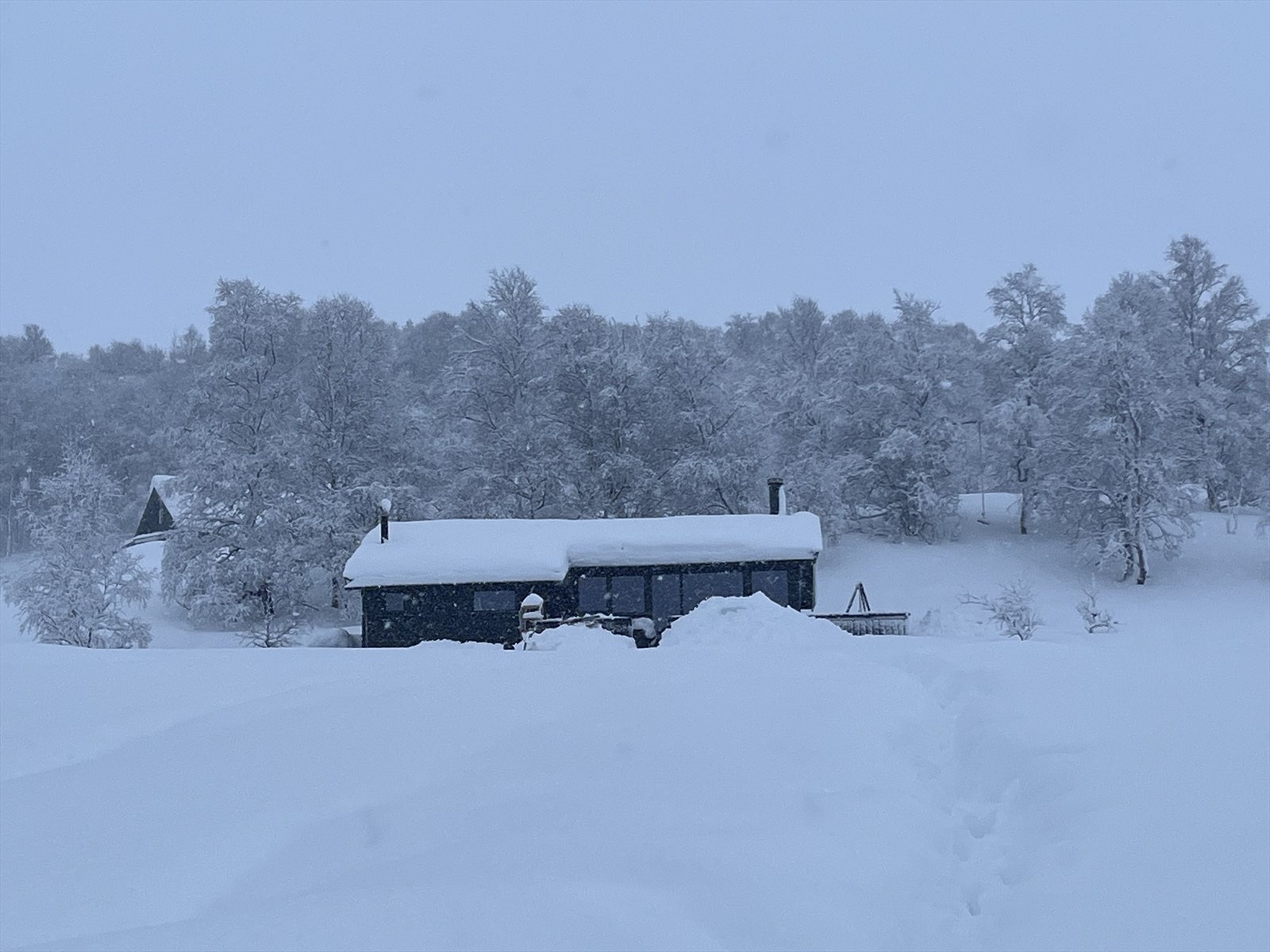 Stemningsbilde/foto selger Galleribilde