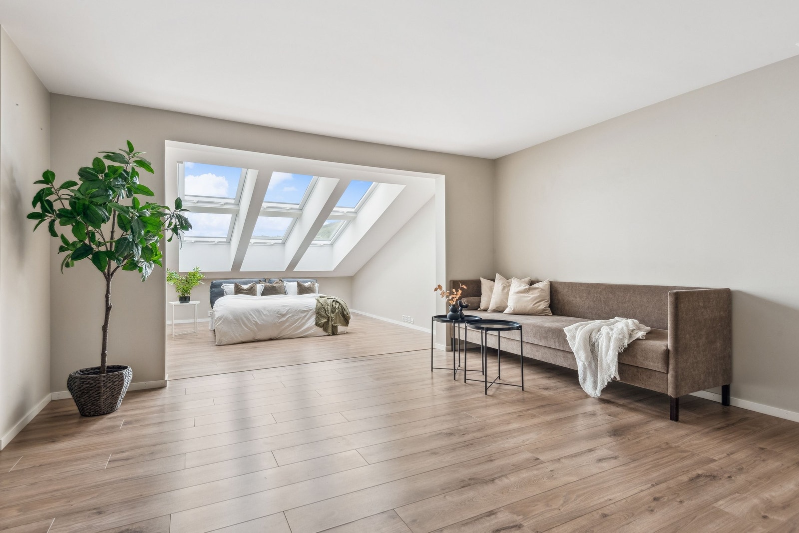 Hovedsoverom i hovedlelligheten. Galleribilde