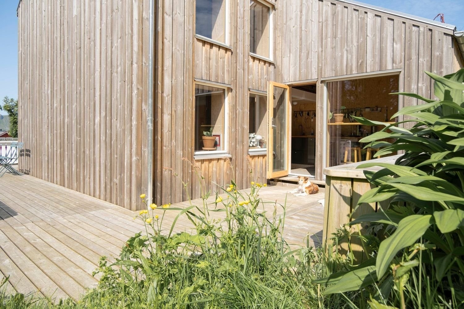 Solrik platting uten gjenboere. Her er det sol hele morgen- og formiddagen. Galleribilde