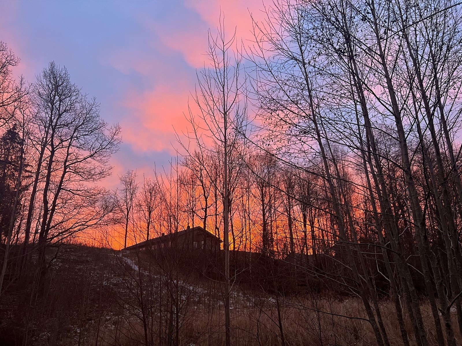 Selgers egne bilder. Galleribilde