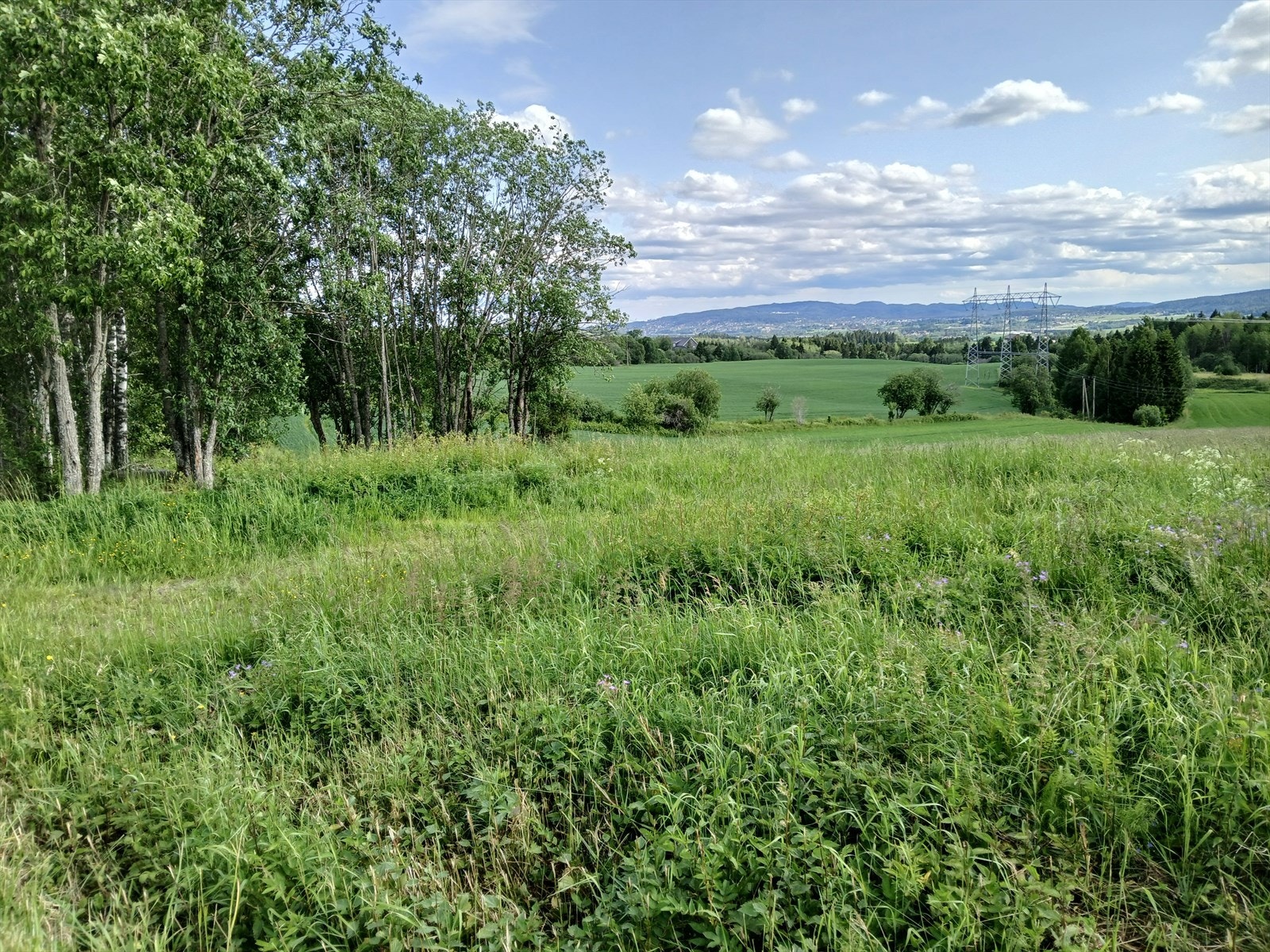 Nye bilder tatt av selger Galleribilde