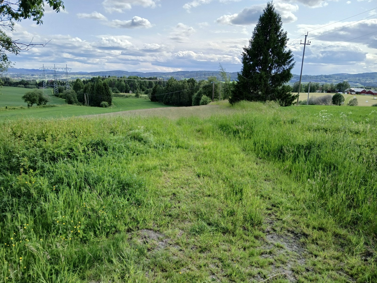 Nye bilder tatt av selger Galleribilde