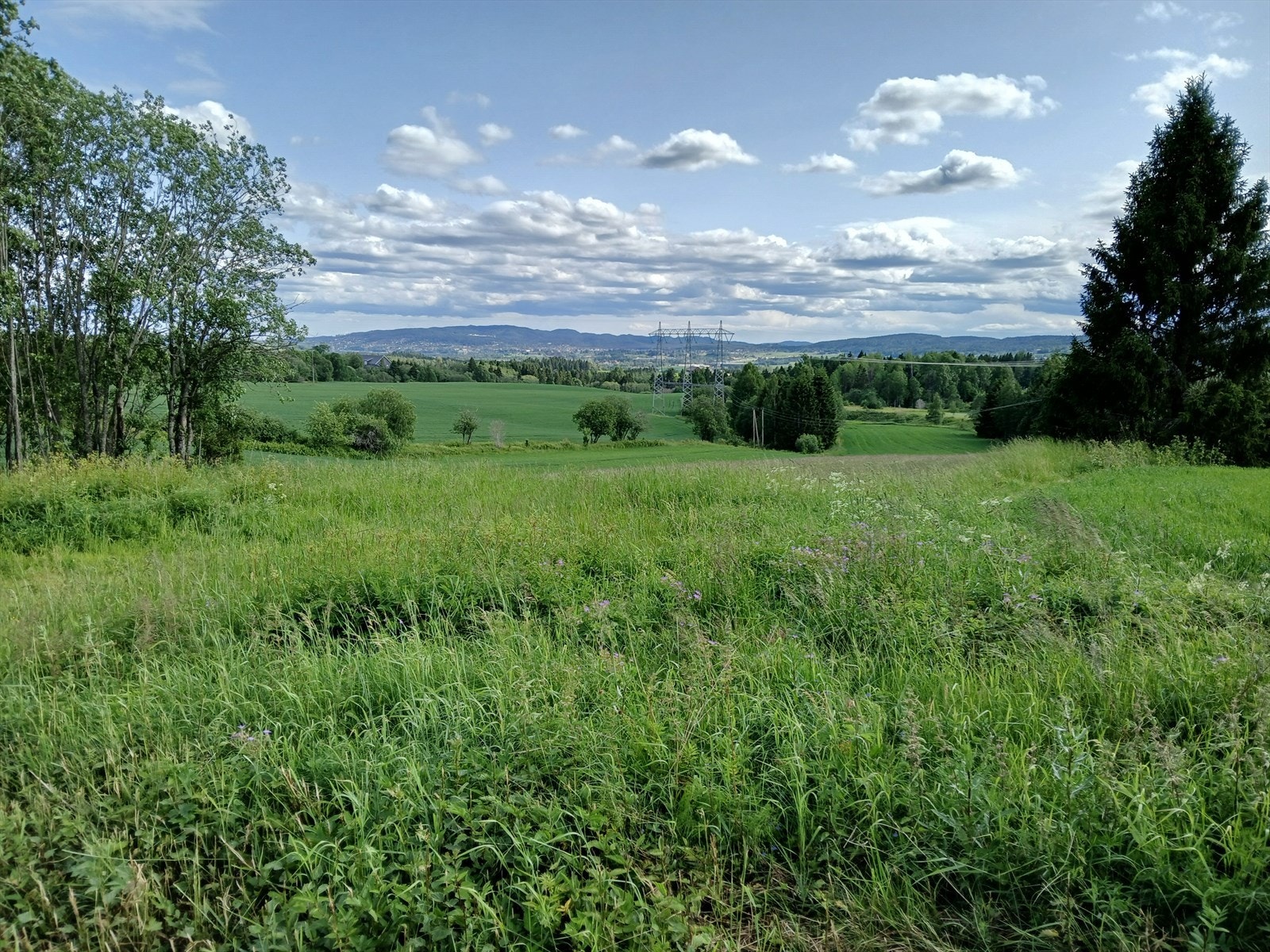 Nye bilder tatt av selger Galleribilde