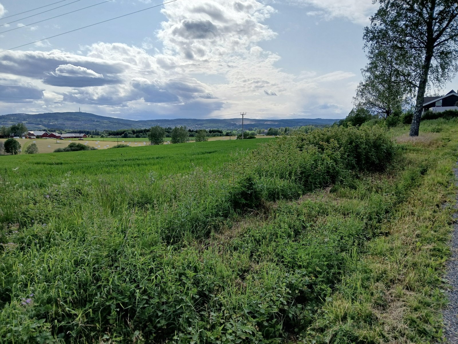 Nye bilder tatt av selger Galleribilde