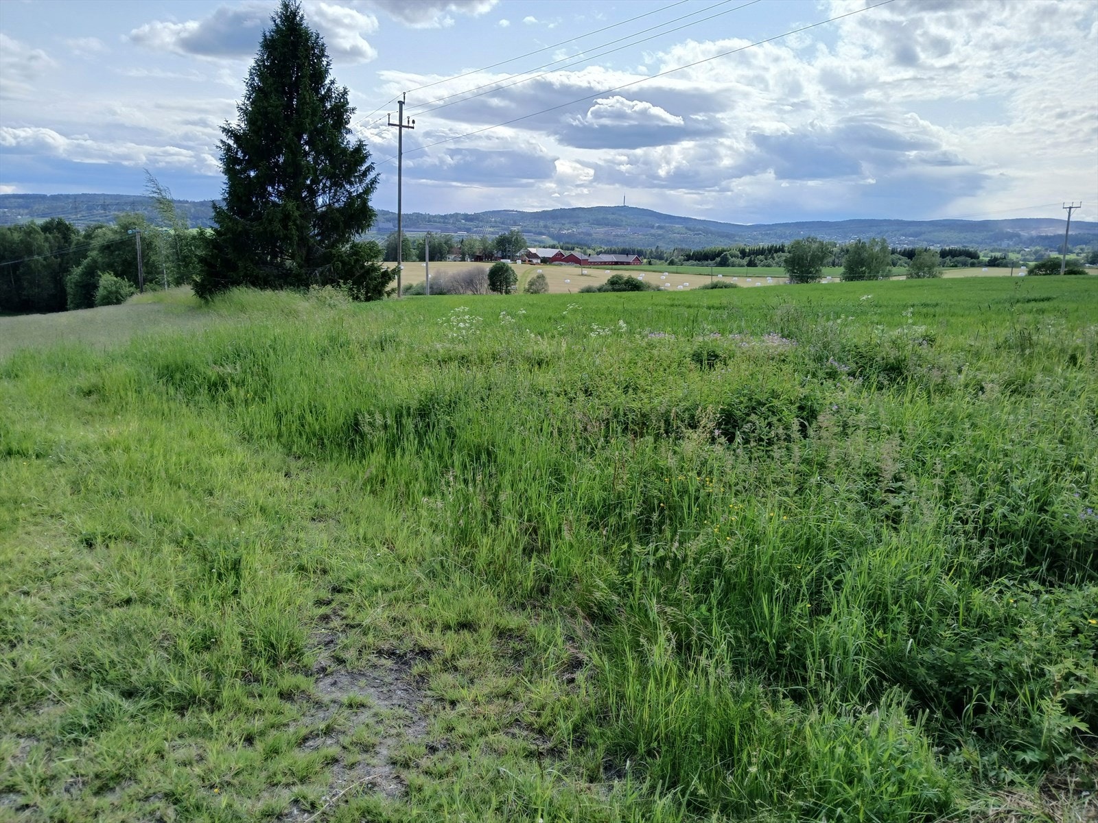 Nye bilder tatt av selger Galleribilde