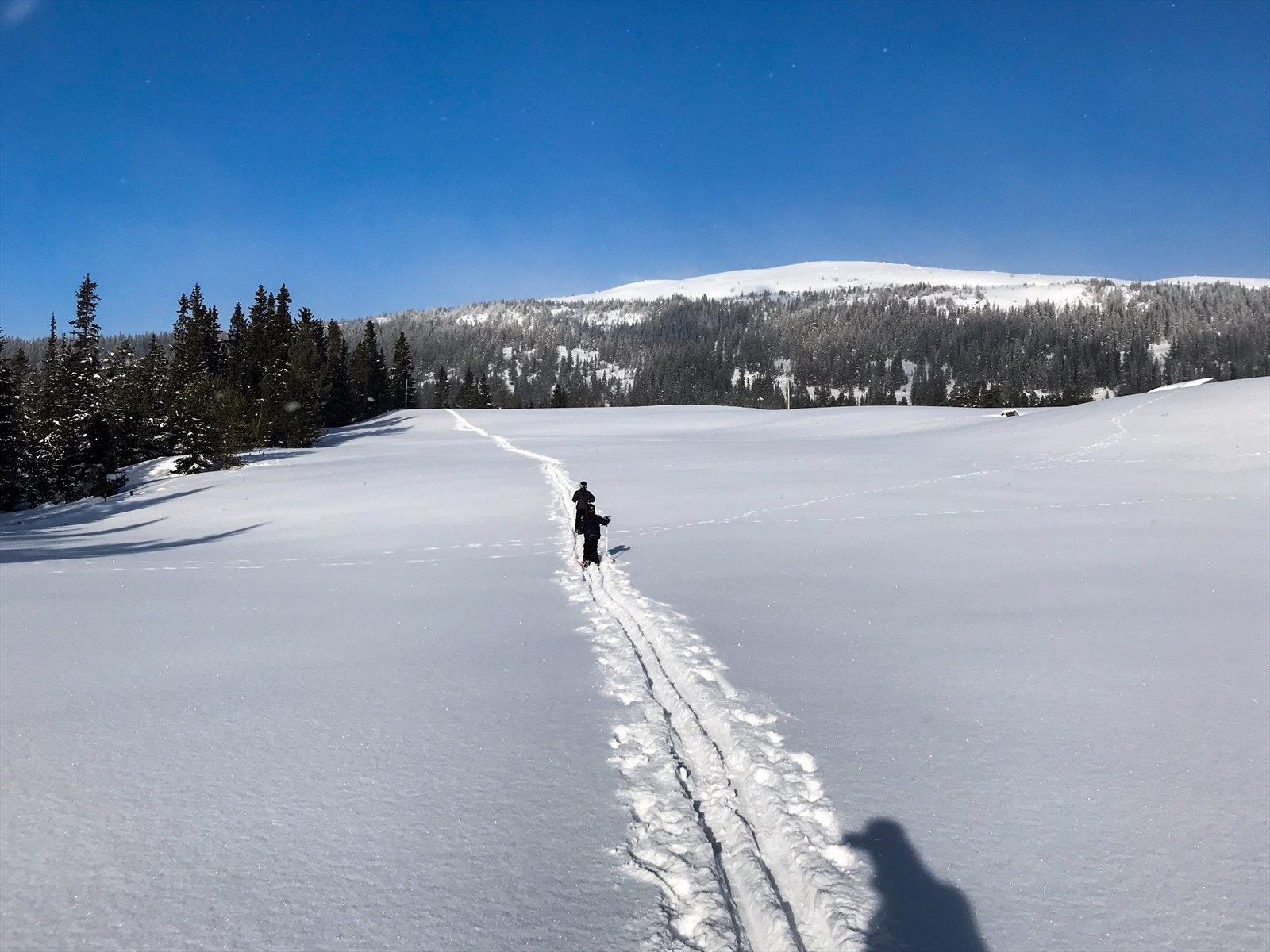 Privat bilde tatt i nærområdet sør for hytta Galleribilde
