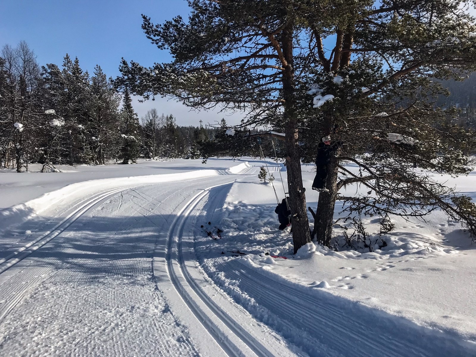 Skiløyper i nærområdet -Privat bilde- Galleribilde