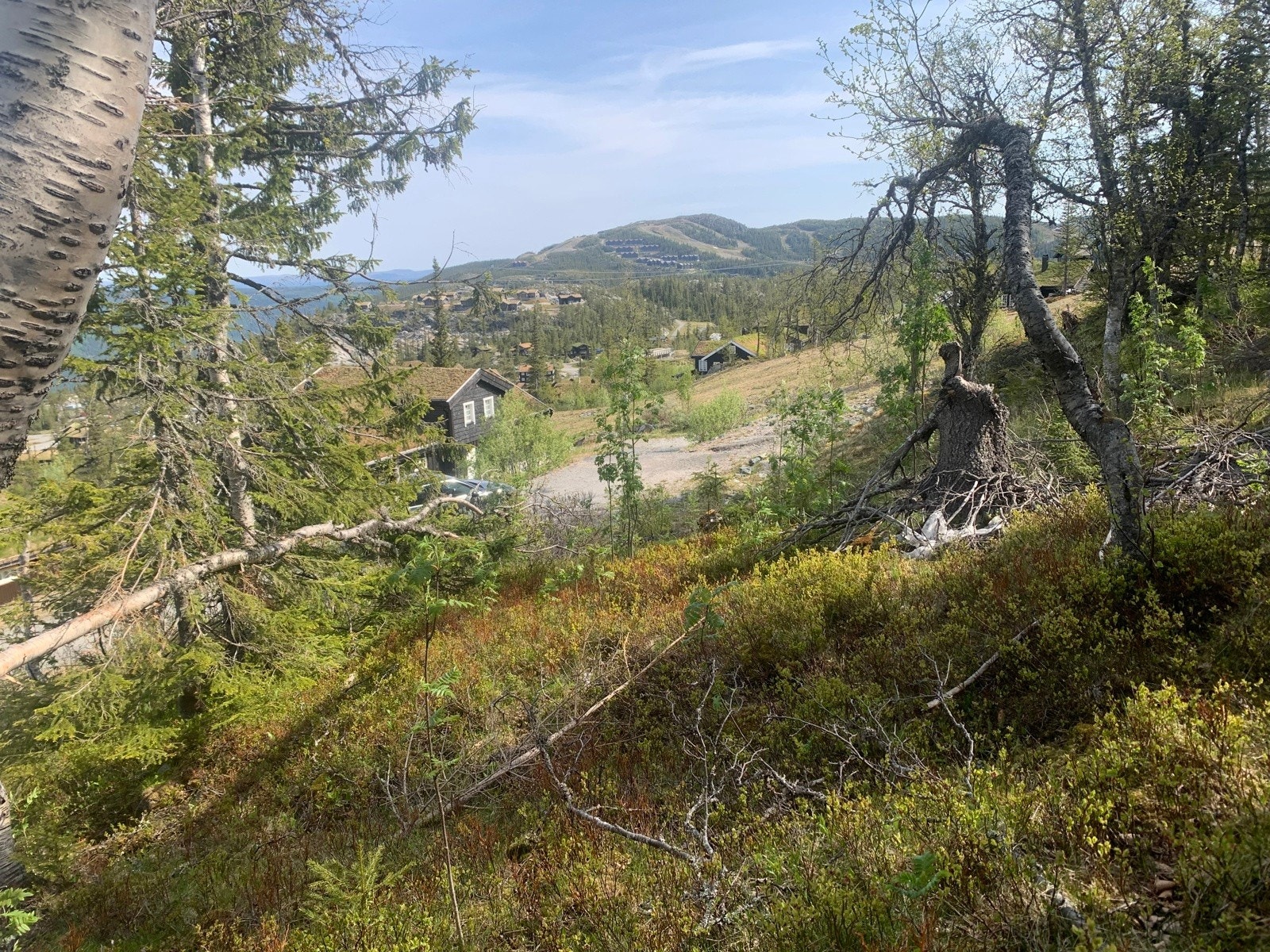 Toreskyrkjavegen 159 ved Christopher Lejonberg Landkreditt Eiendom Foto fra tomten juni 2025. Utsikt til Gaustablikk Galleribilde