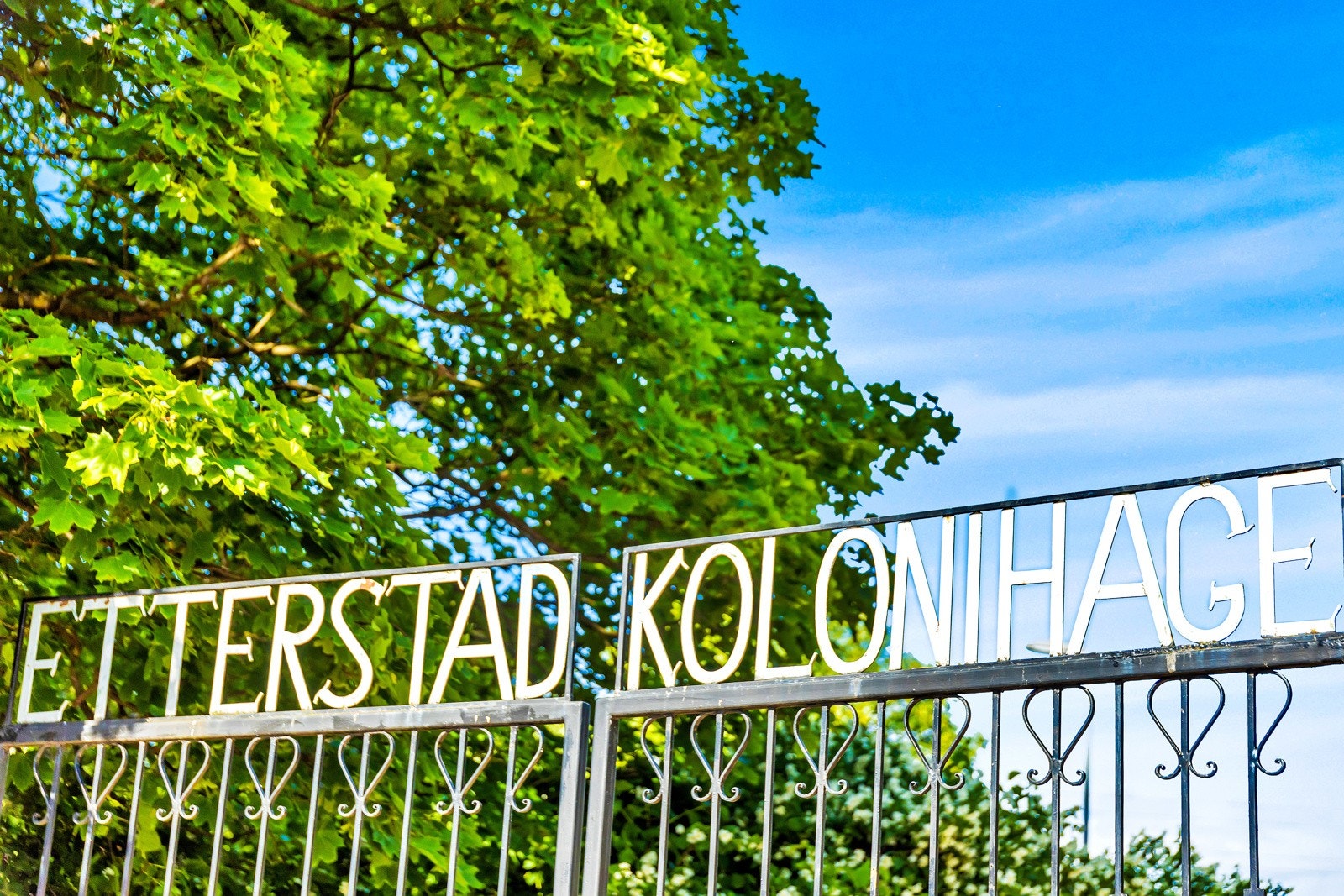 Etterstad kolonihage. Galleribilde