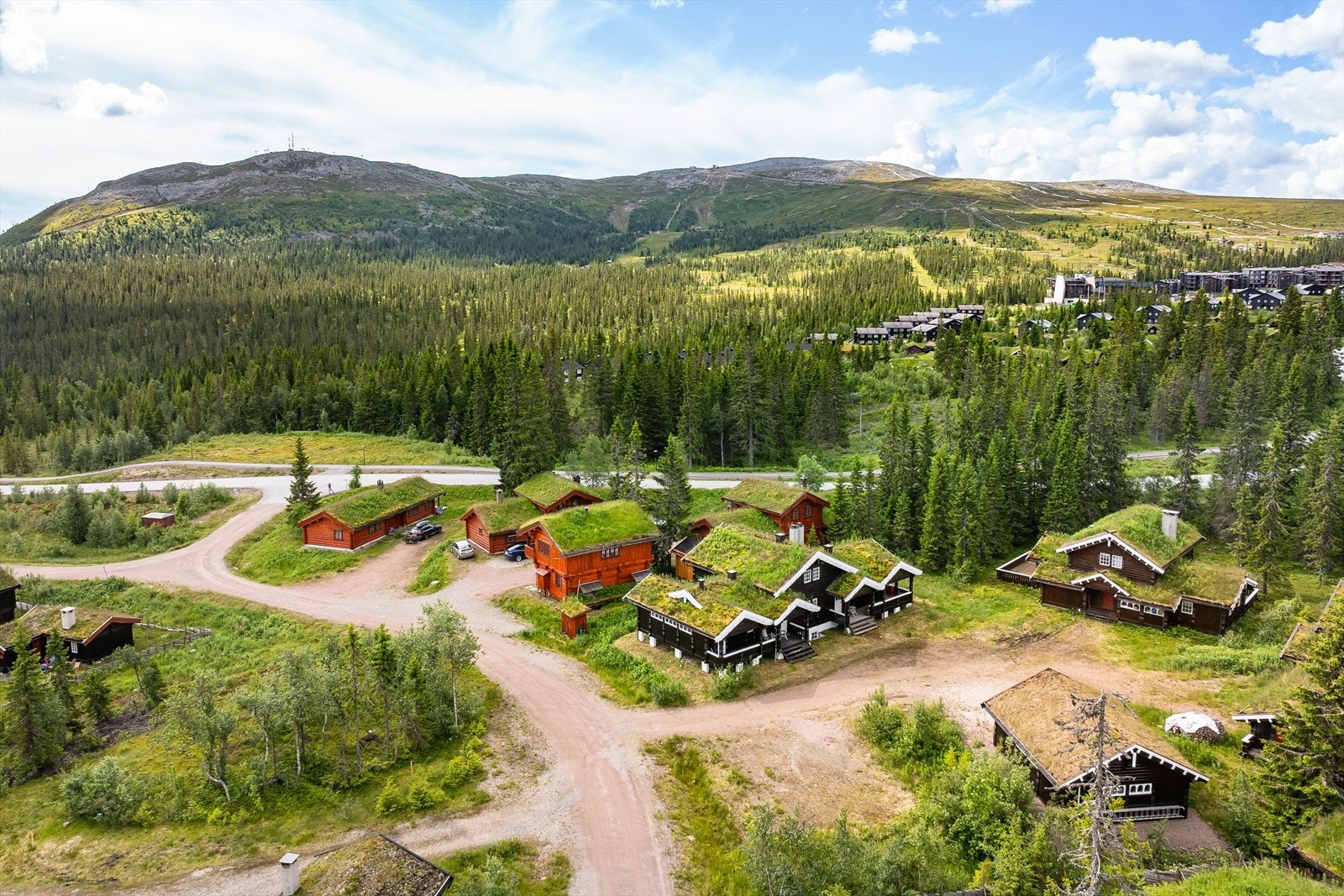 Fra hytta er det kort vei til Trysilfjellet og alpinbakken. Galleribilde