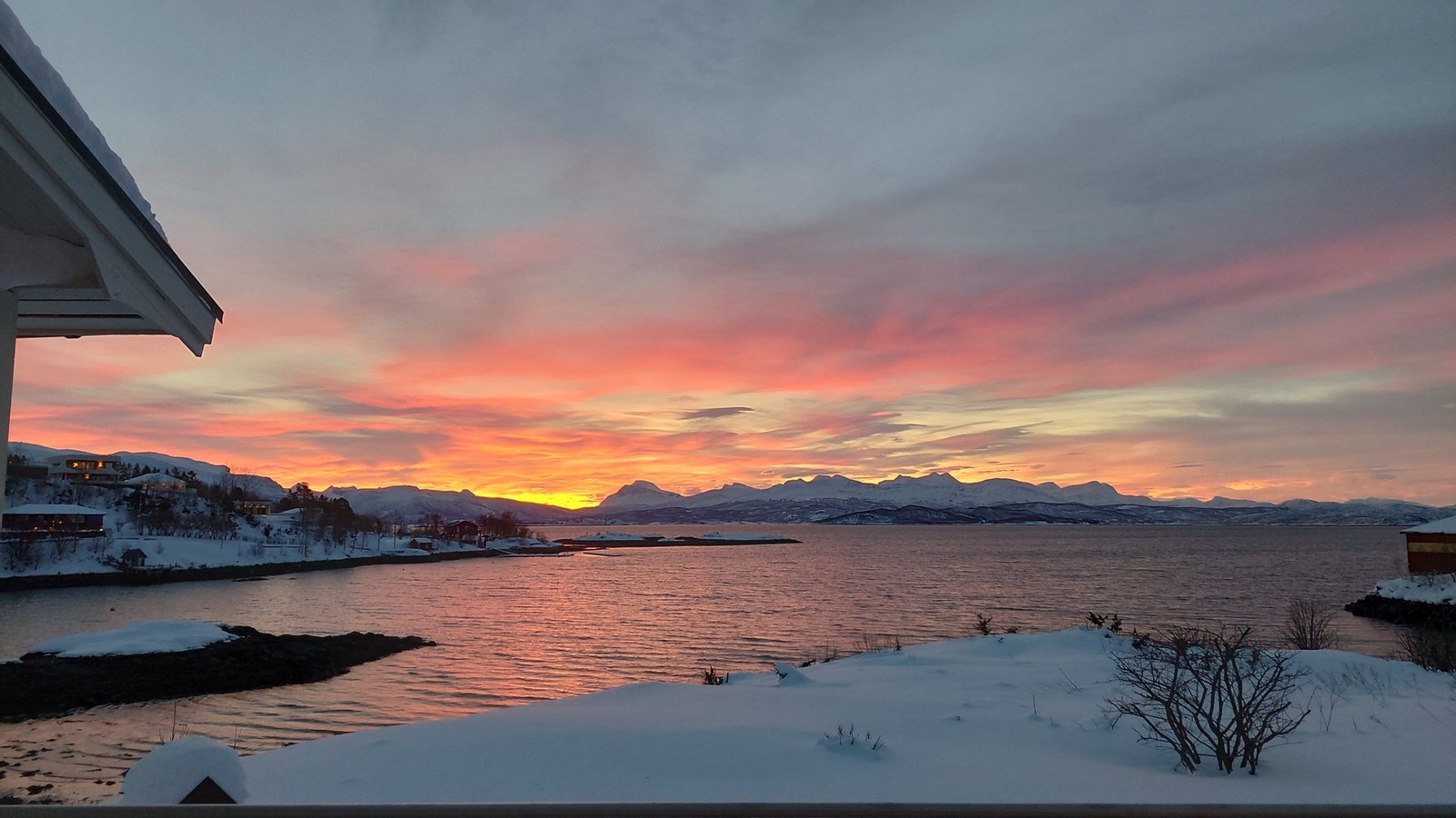 Selgers egne bilder Galleribilde