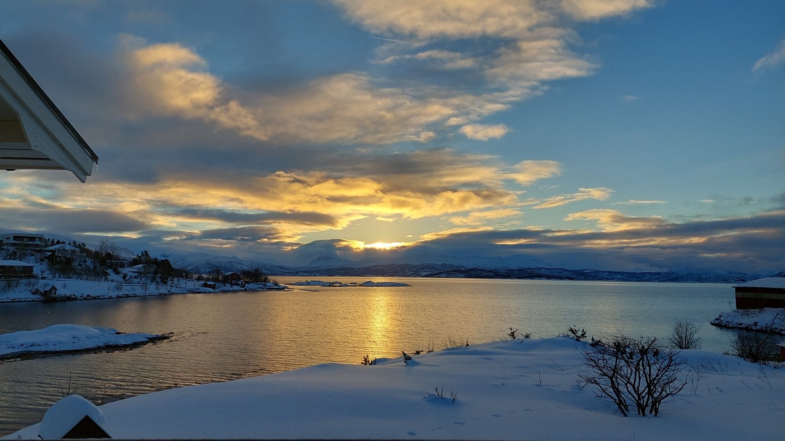 Selgers egne bilder Galleribilde