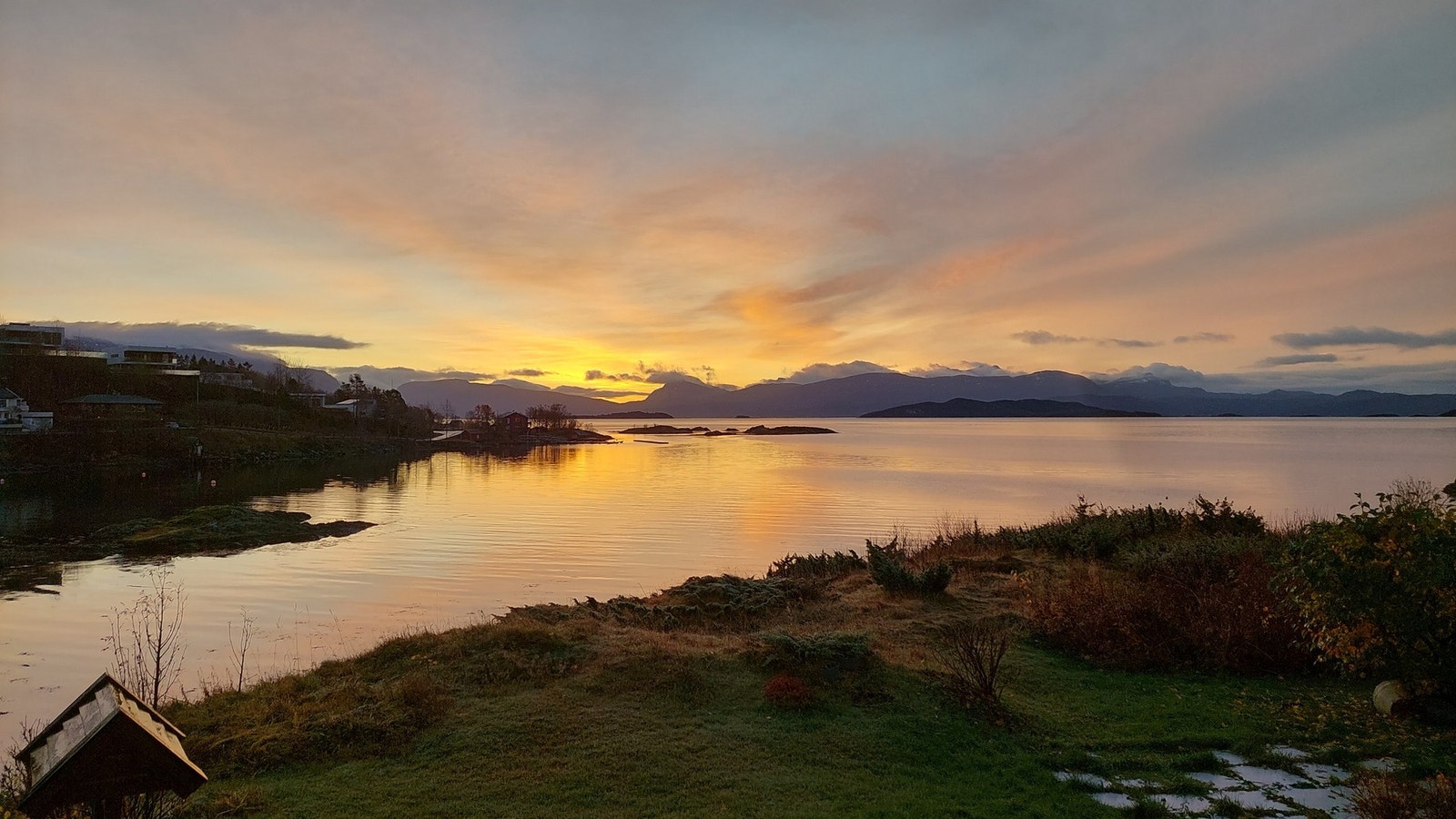 Selgers egne bilder Galleribilde