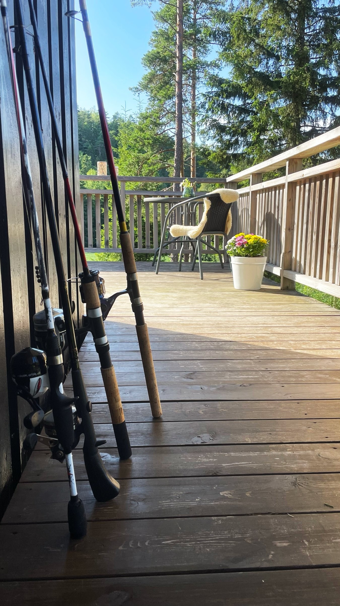 I Haldenvassdraget finnes over 30 fiskearter, og det er kort vei til flere fine områder der man kan fiske ørret. Galleribilde