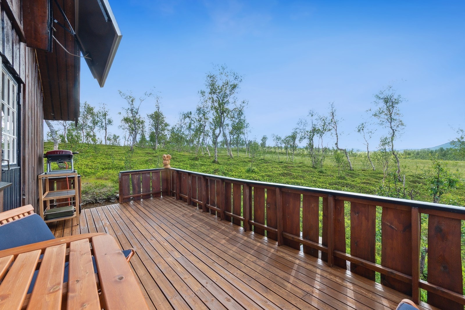 Her nytes fine dager! Galleribilde