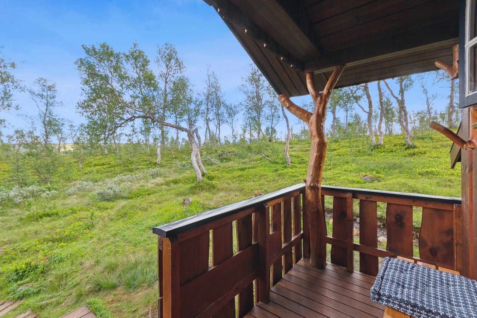 Overbygget inngangsparti - Fin veranda, her nytes morgenkaffen! Galleribilde